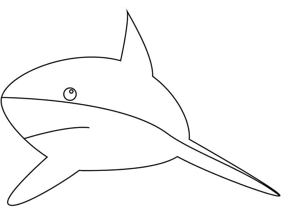 Раскраска Легкая Акула