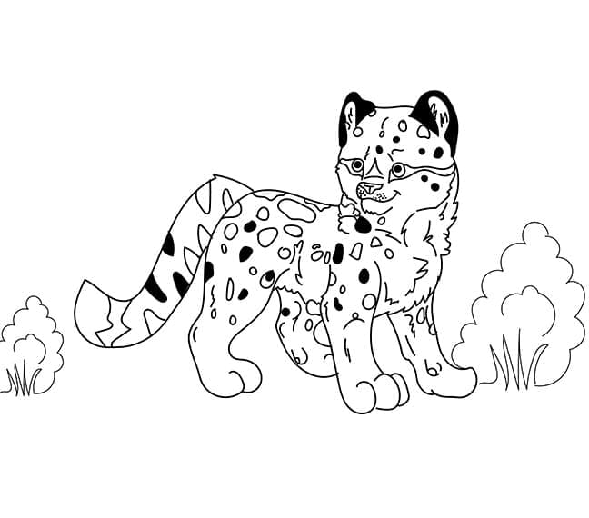 Раскраска Леопард 1