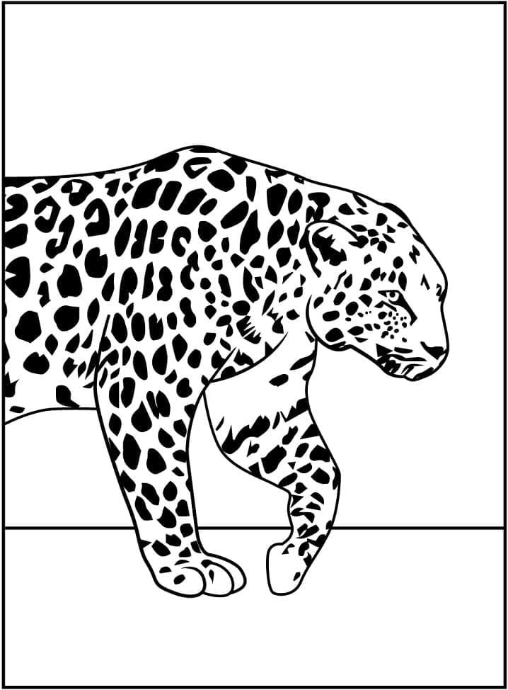 Раскраска Леопард 10