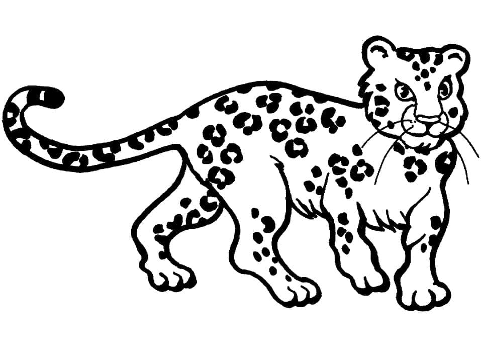 Раскраска Леопард 13