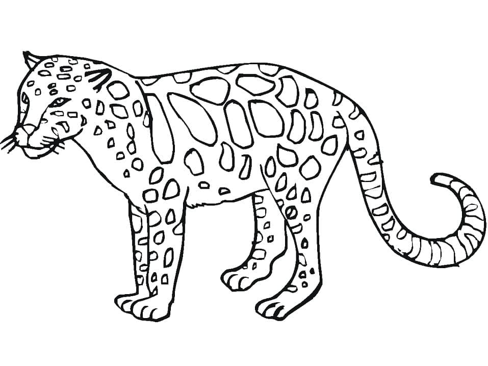 Раскраска Леопард 15