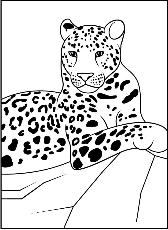 Раскраска Леопард 18