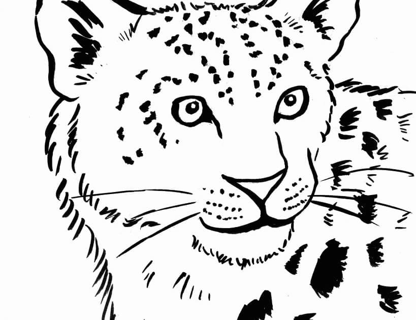Раскраска Леопард 19