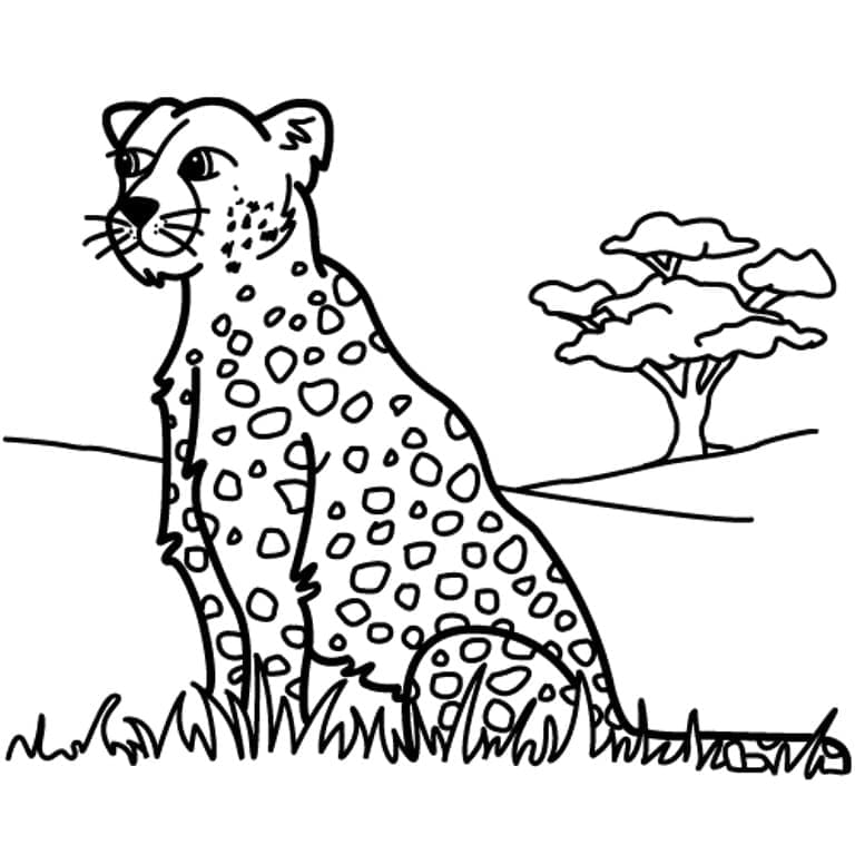 Раскраска Леопард 21