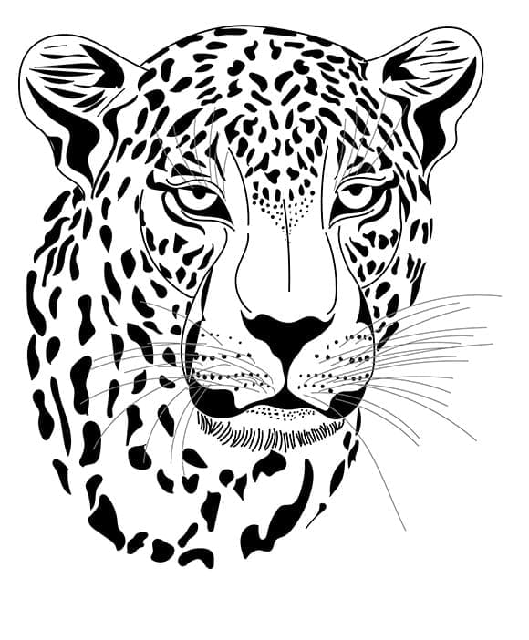 Раскраска Леопард 27