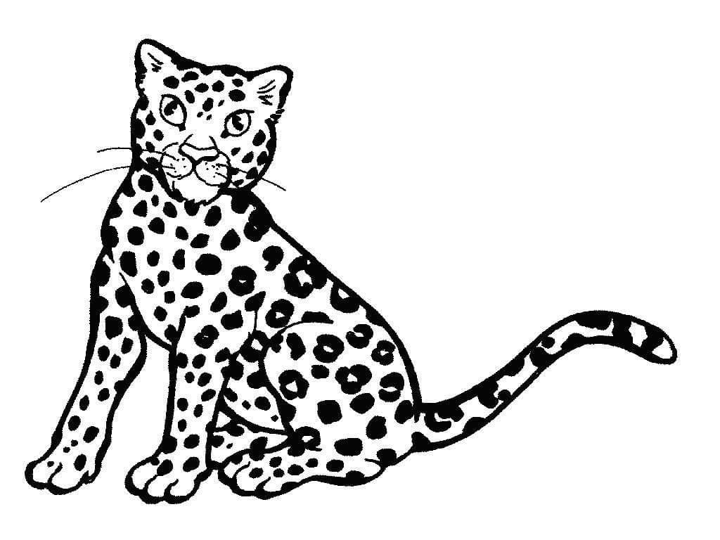 Раскраска Леопард 28