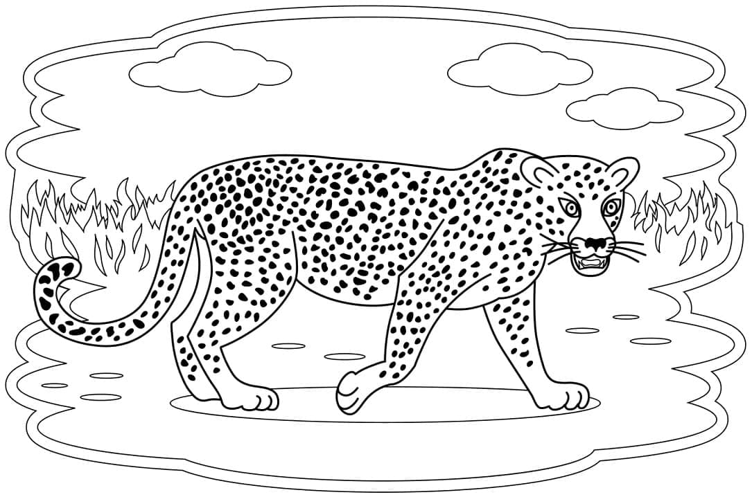 Раскраска Леопард 4