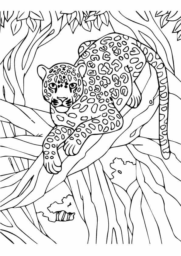Раскраска Леопард 7
