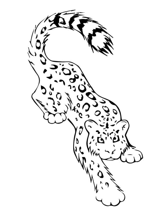 Раскраска Леопард 8