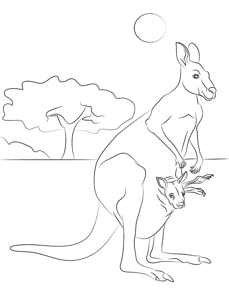 Раскраска мать и ребенок кенгуру 3