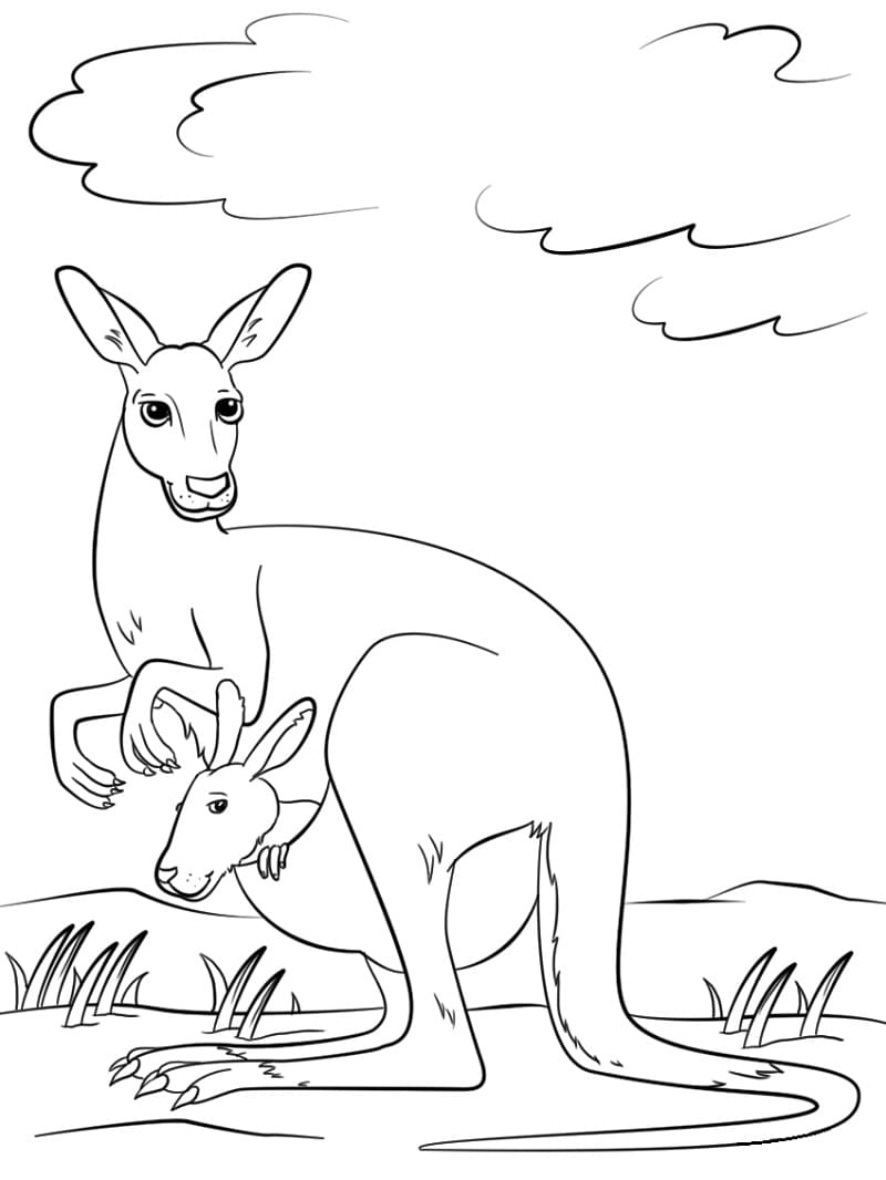 Раскраска мать и ребенок кенгуру 4
