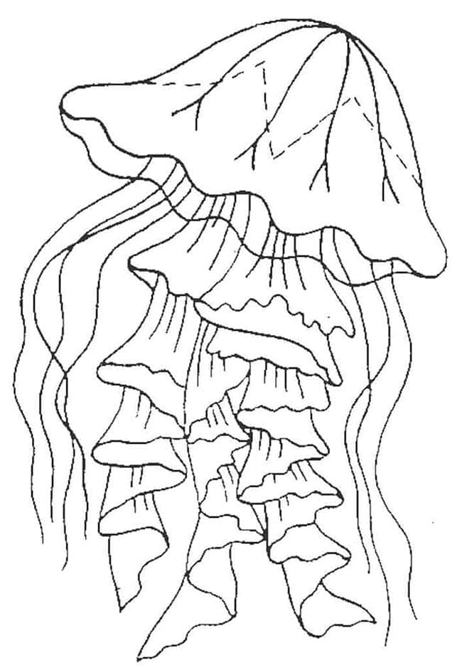 Раскраска Медуза (19)