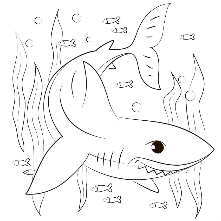 Раскраска Милая Акула 5