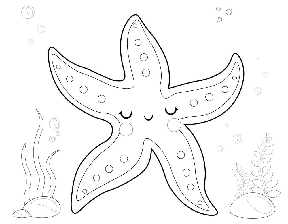 Раскраска милая морская звезда 1