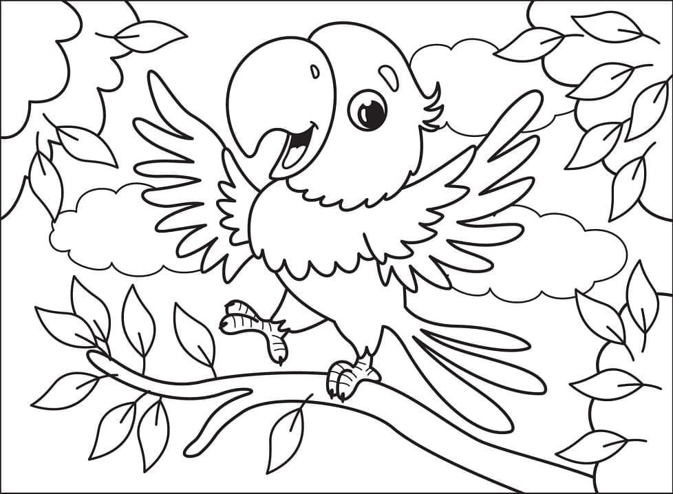 Раскраска Милый Попугай 3