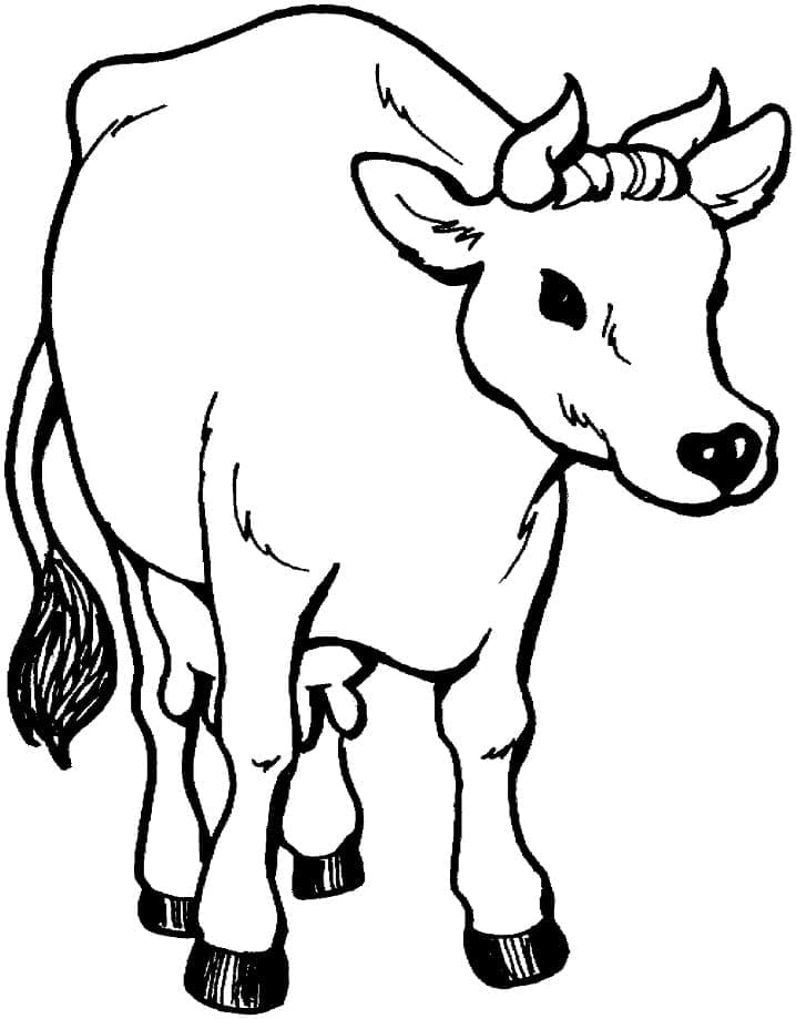 Раскраска Нормальная корова