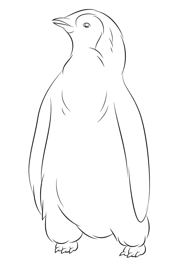 Раскраска нормальный пингвин 2