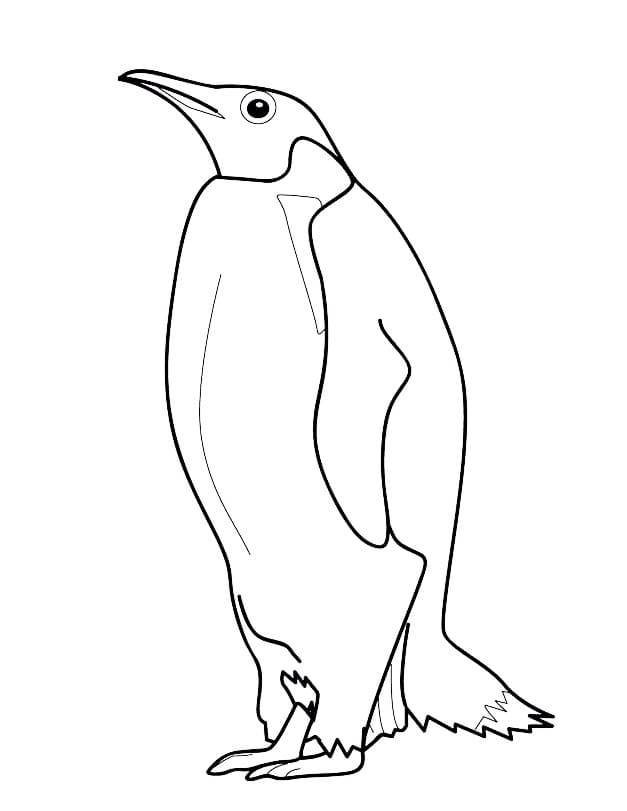 Раскраска нормальный пингвин 3