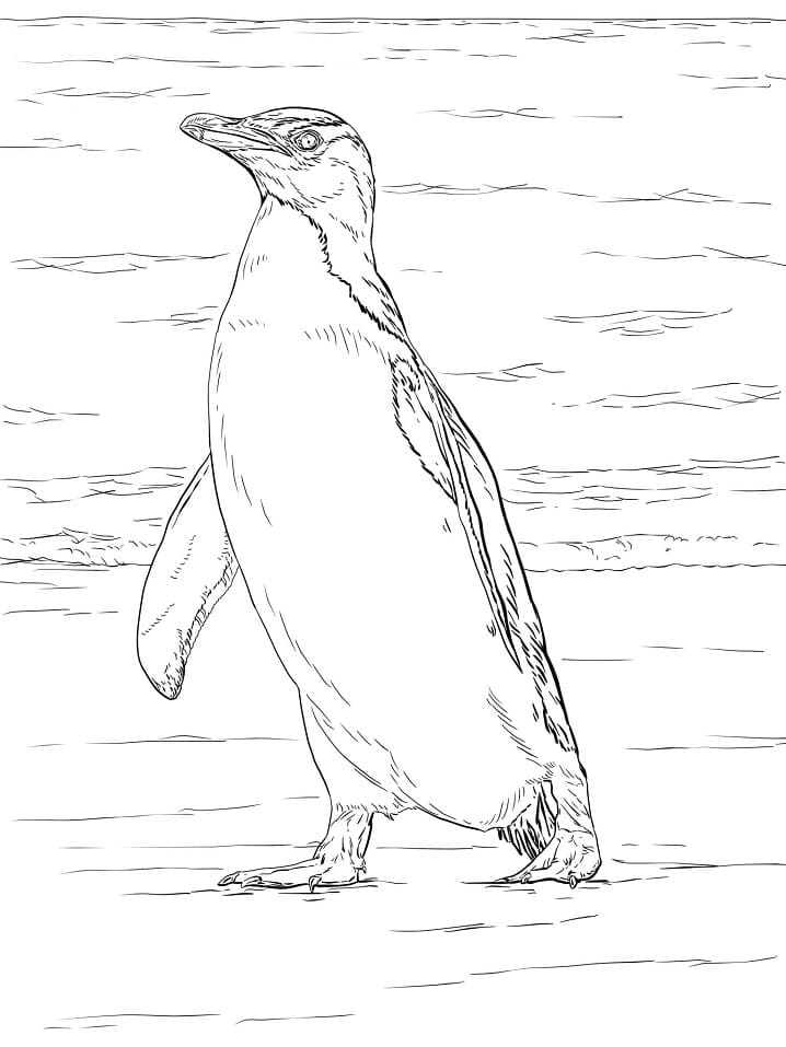 Раскраска нормальный пингвин