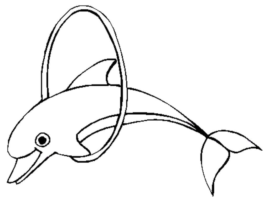 Раскраска Очаровательный дельфин 1