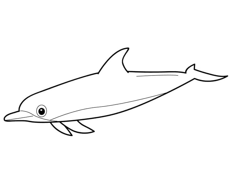 Раскраска Очаровательный дельфин 2