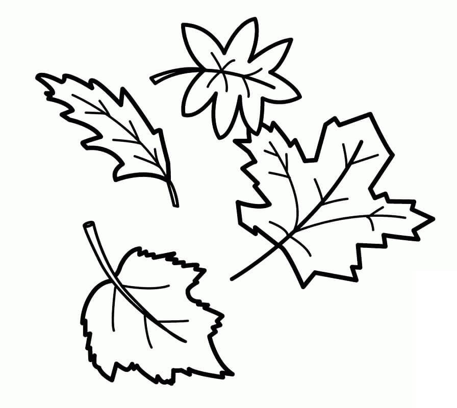 Раскраска Осенние листья 6