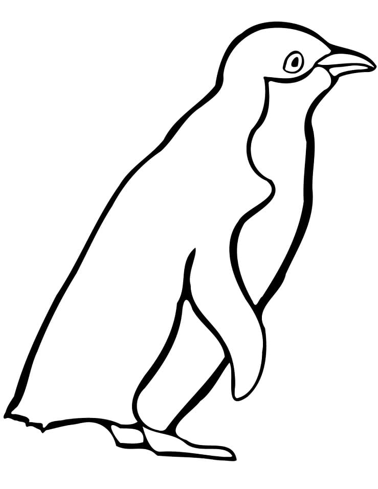 Раскраска пингвин 2