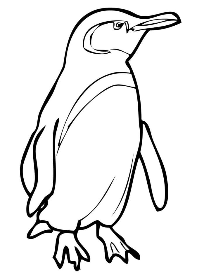 Раскраска пингвин 3