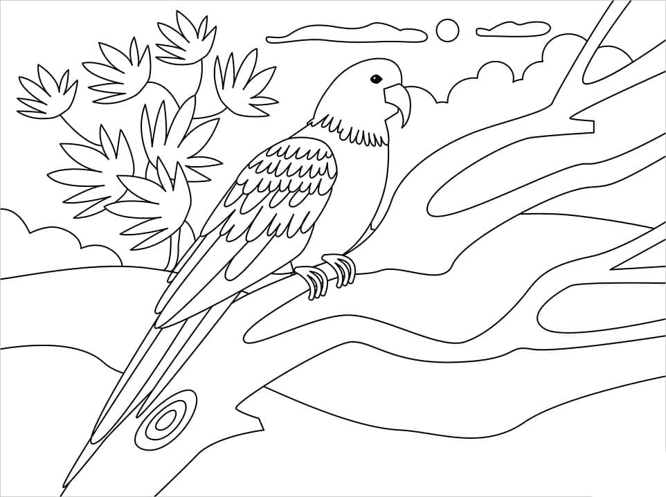 Раскраска Попугай на ветке 5