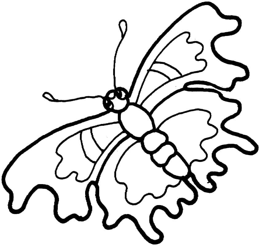 Раскраска прекрасная бабочка 5