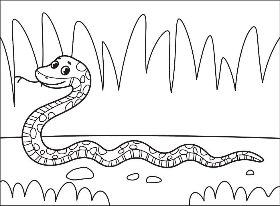 Раскраска Счастливая змея 2