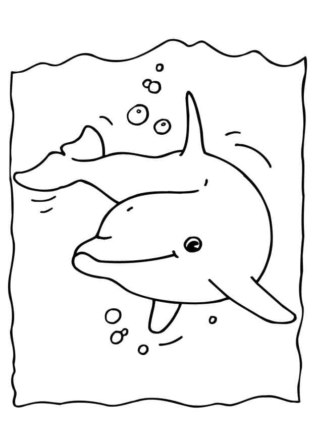 Раскраска Счастливый дельфин