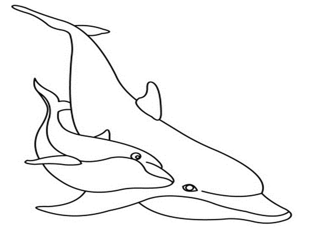 Раскраска Семейный дельфин 1.