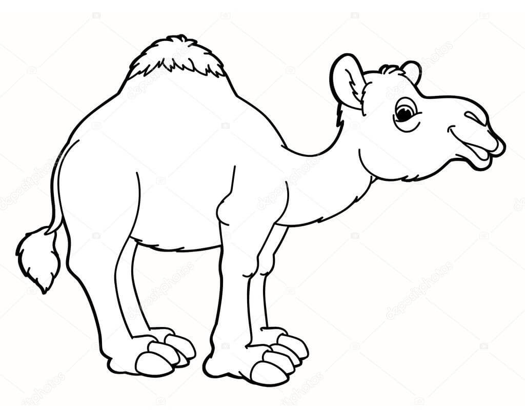 Раскраска смешной верблюд 1