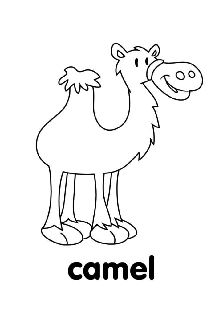 Раскраска смешной верблюд 3
