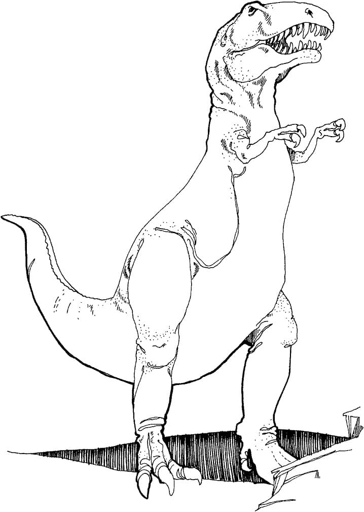 Раскраска Тираннозавр 15