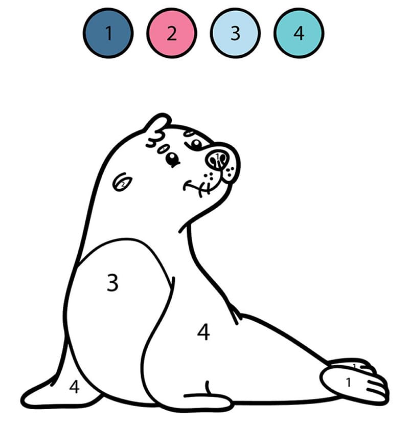 Раскраска Тюлень по цифрам