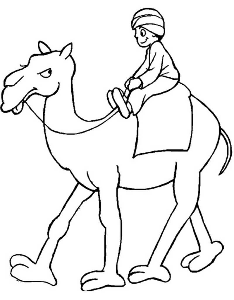 Раскраска верблюд 4
