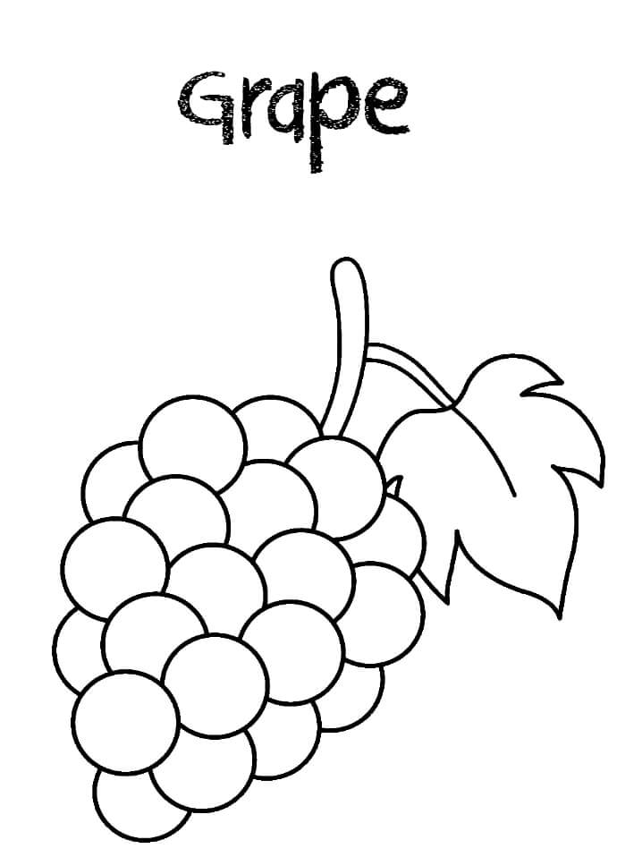 Раскраска виноград 1