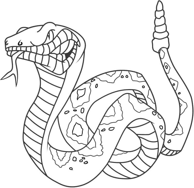 Раскраска Злая Змея 1