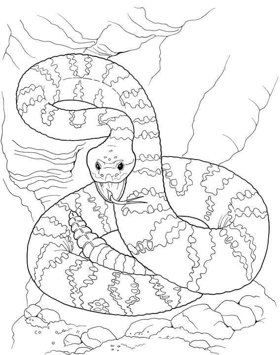 Раскраска Злая Змея 2