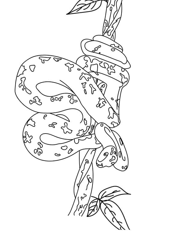 Раскраска Змея на ветке 1